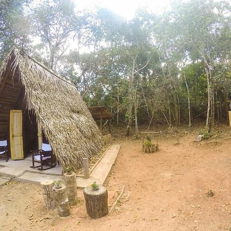 Отель Hospedagem Aldeia Do Leao Каролина Экстерьер фото
