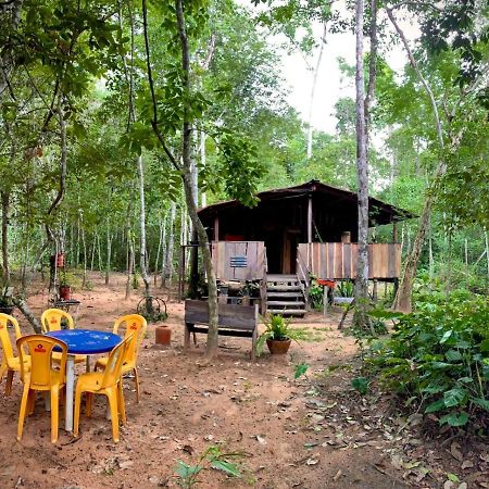 Отель Hospedagem Aldeia Do Leao Каролина Экстерьер фото