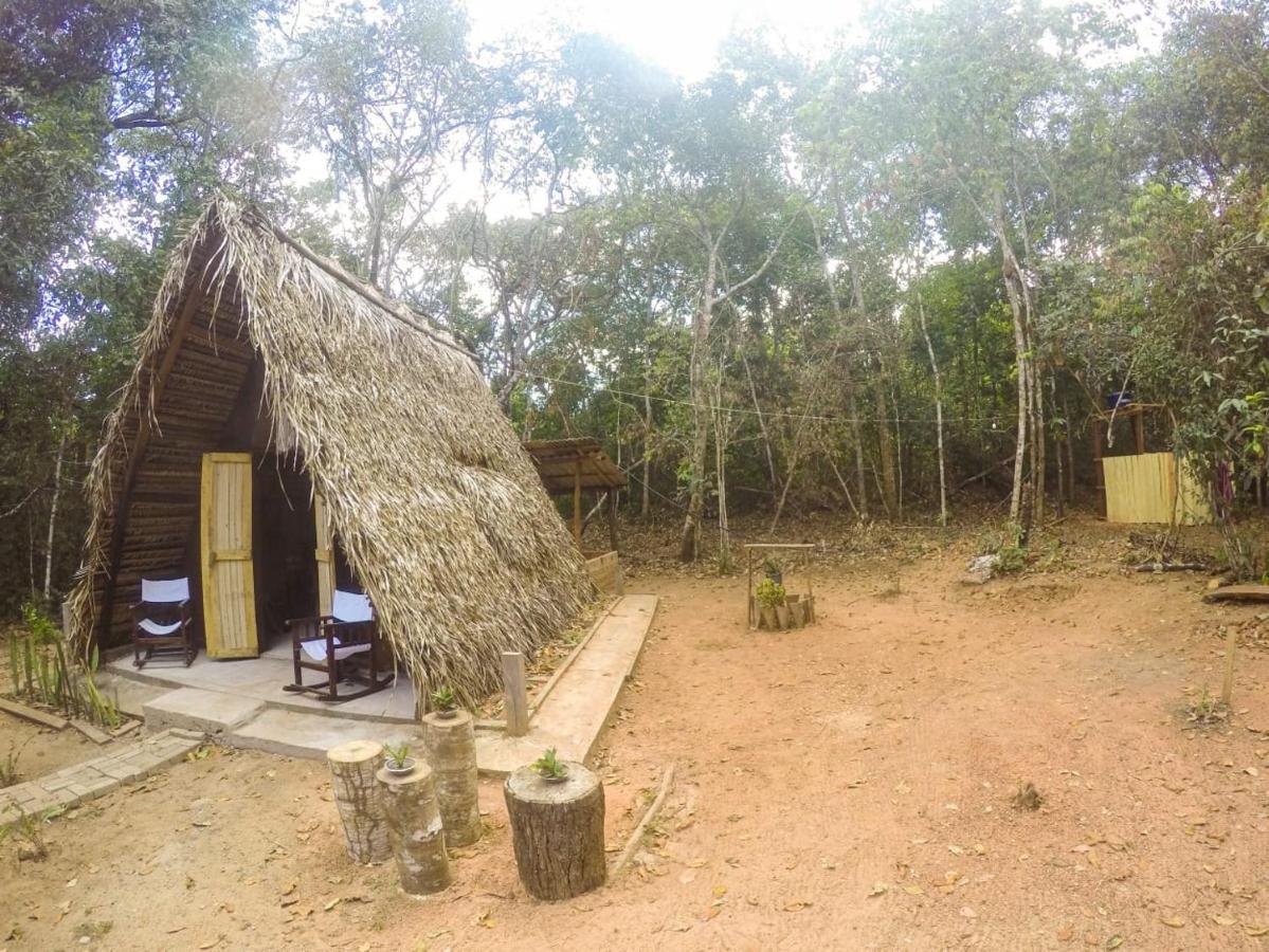 Отель Hospedagem Aldeia Do Leao Каролина Экстерьер фото
