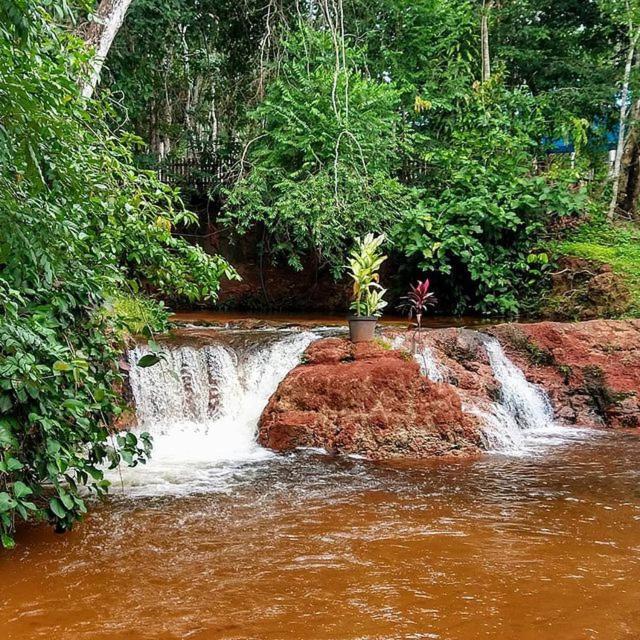 Отель Hospedagem Aldeia Do Leao Каролина Экстерьер фото